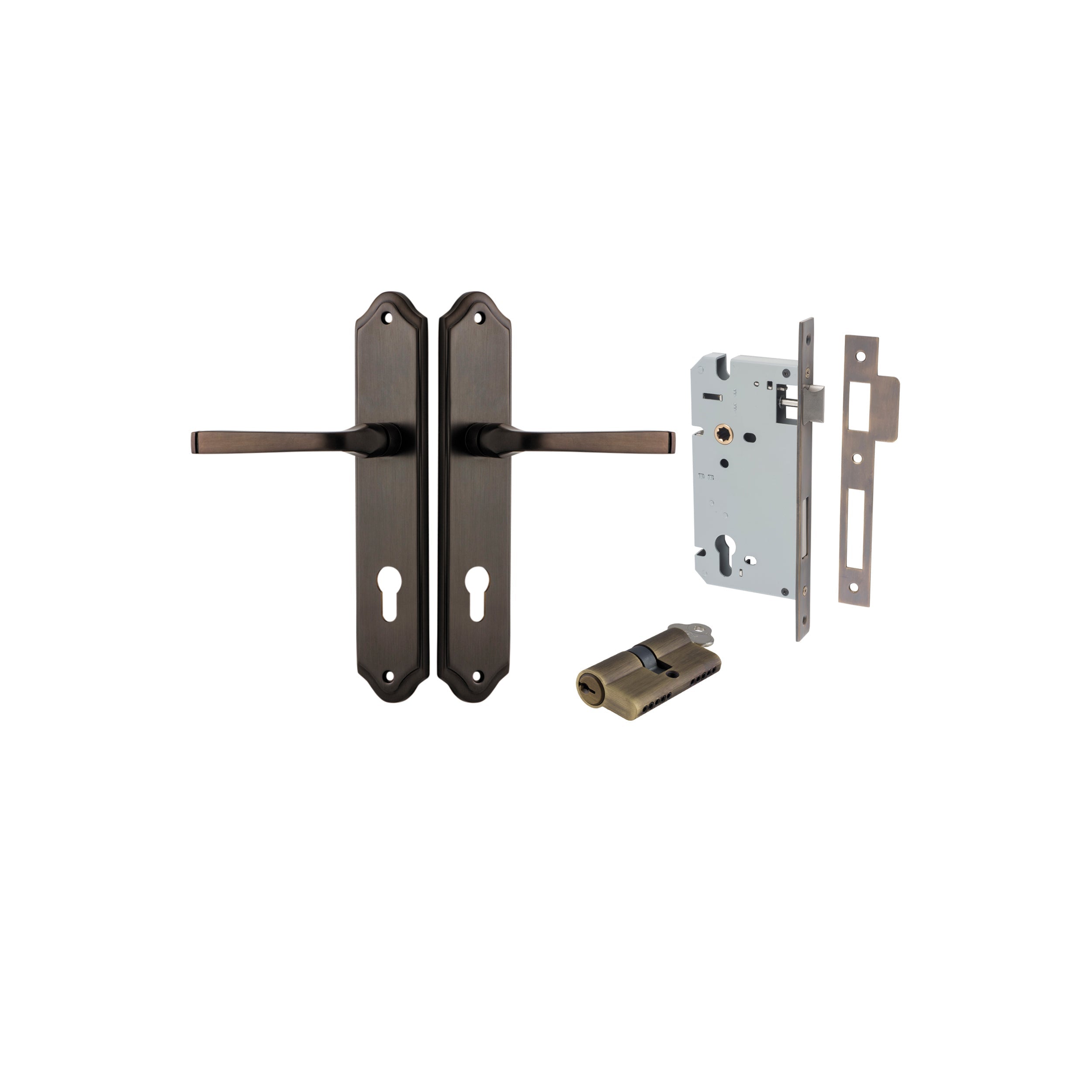 Annecy Lever - Shouldered Backplate - Entry Point - Iver - Signature Brass - Door Levers