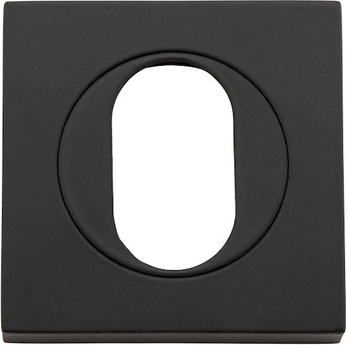 Oval Escutcheon - Square By Iver