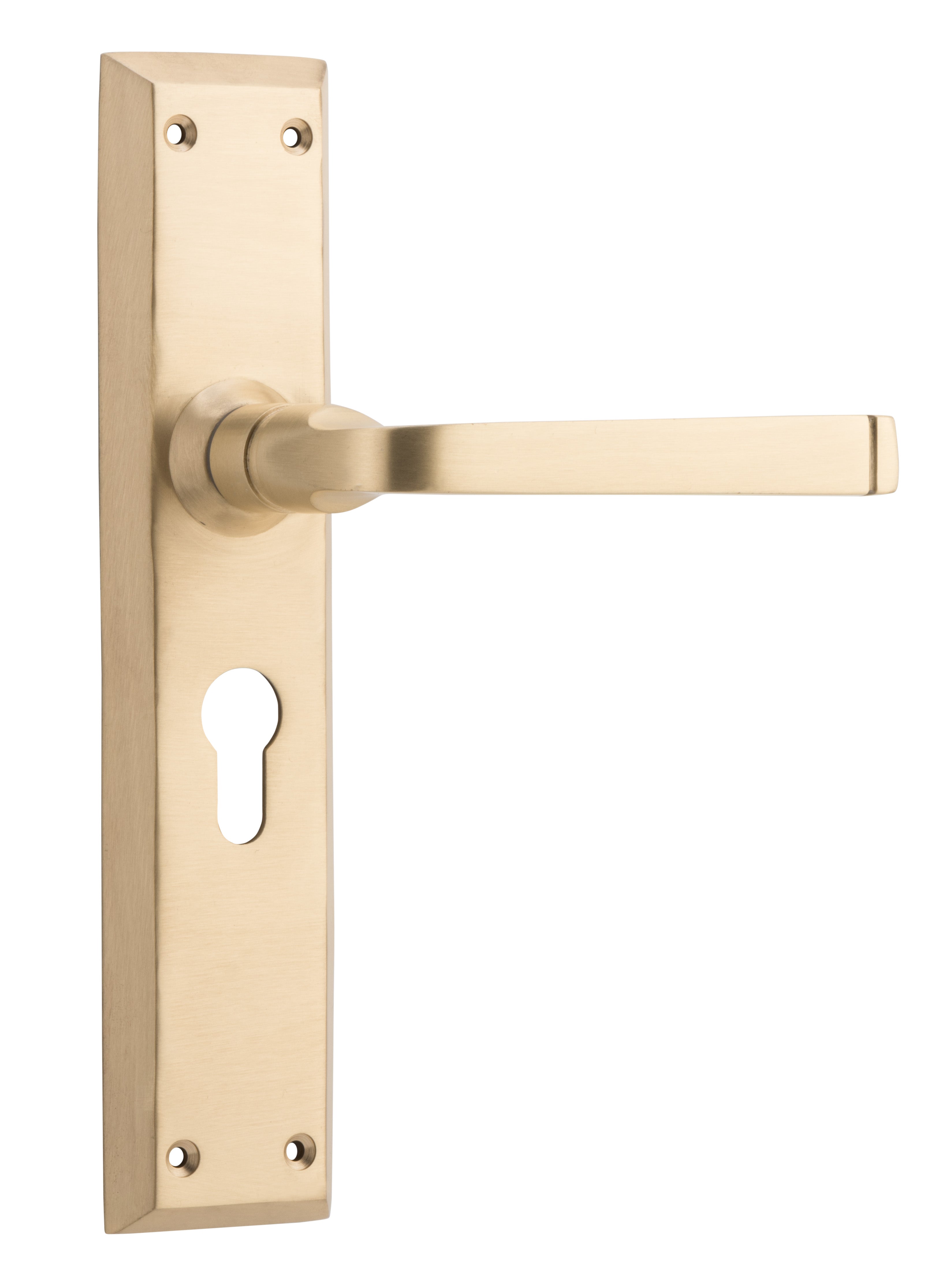 Menton Lever - Long Backplate by Tradco