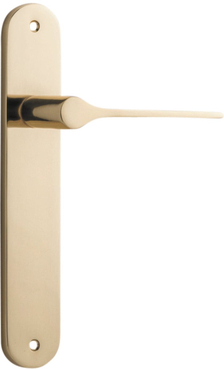 Como Lever - Oval Backplate - Entry Point - Iver - Polished Brass - Door Levers