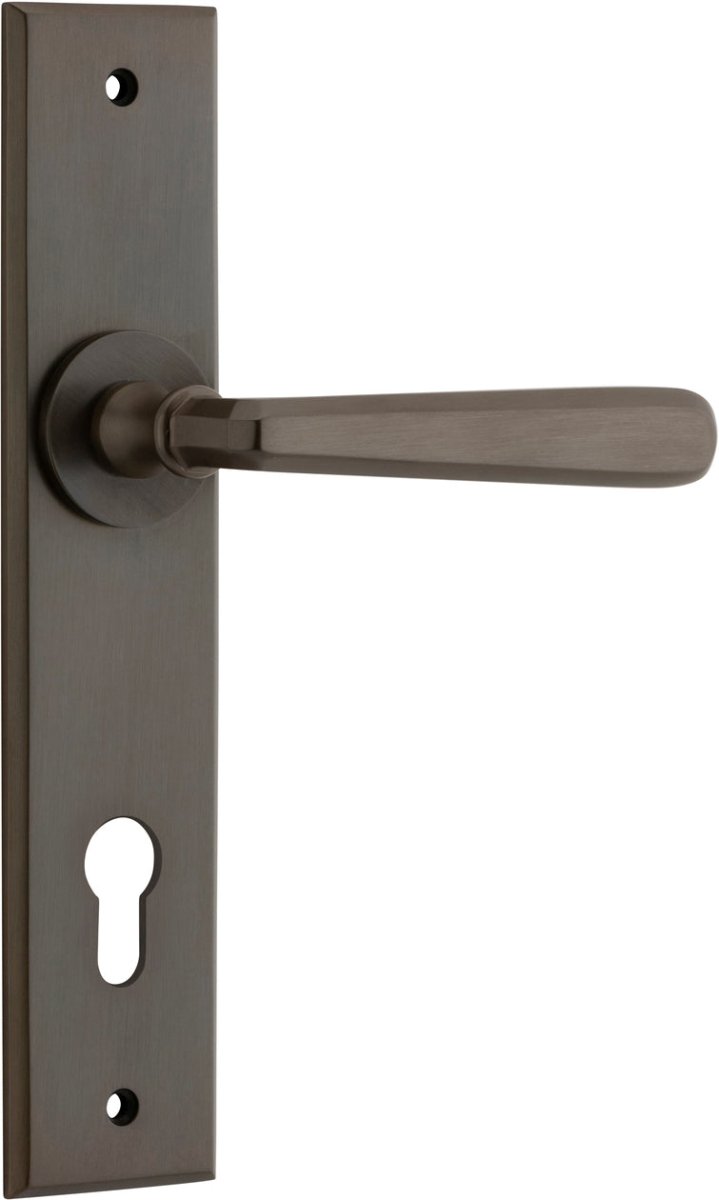 Copenhagen Lever - Chamfered Backplate - Entry Point - Iver - Signature Brass - Door Levers