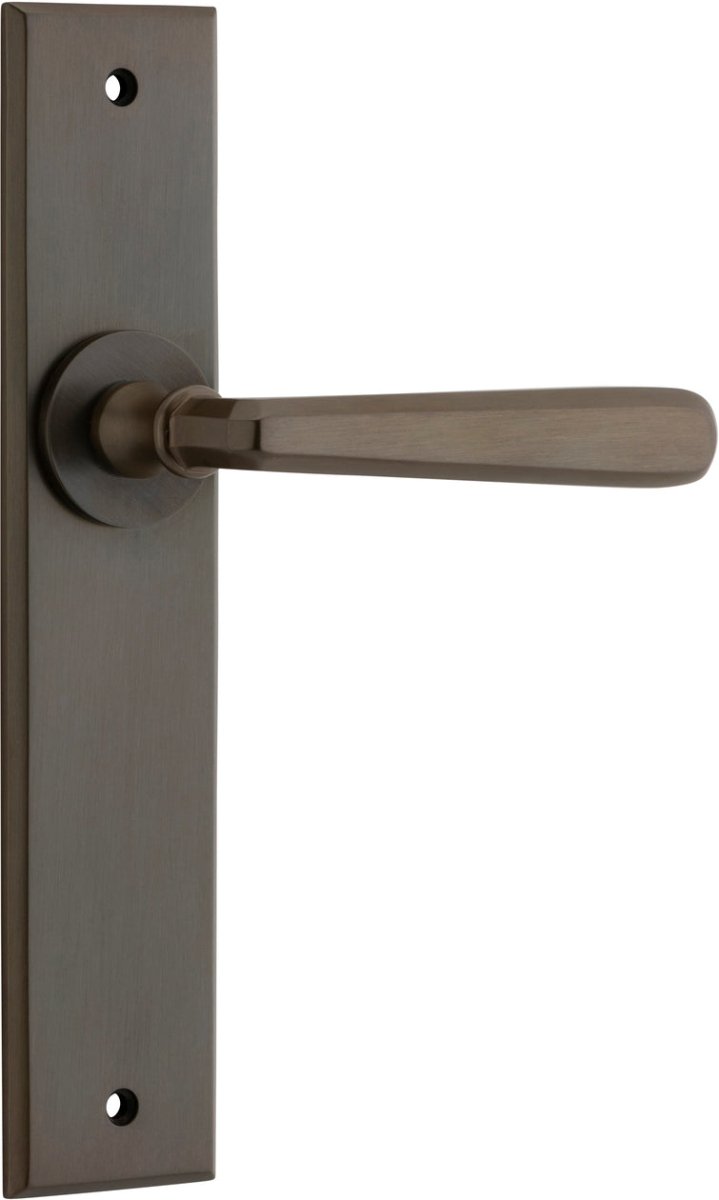 Copenhagen Lever - Chamfered Backplate - Entry Point - Iver - Signature Brass - Door Levers