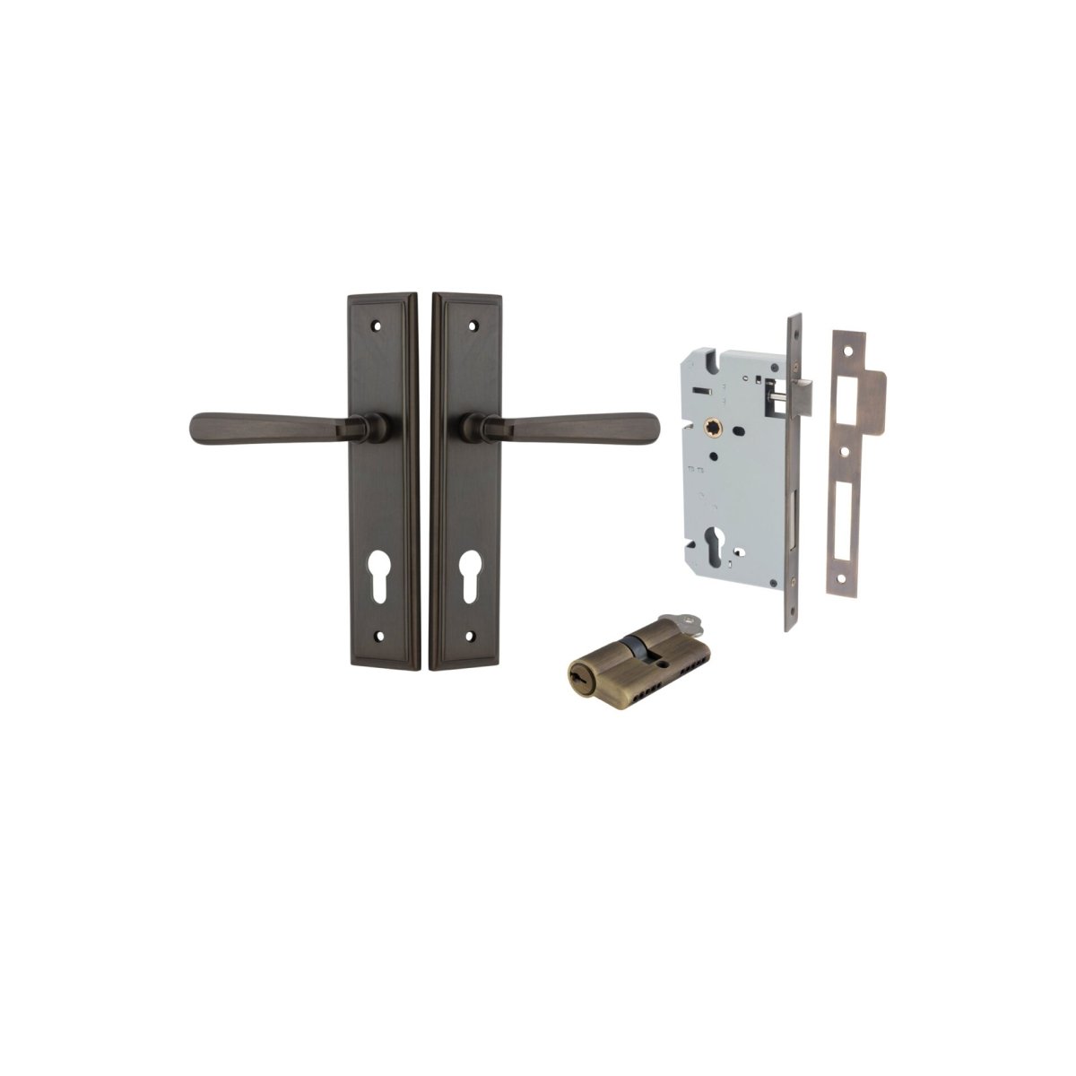 Copenhagen Lever - Stepped Backplate - Entry Point - Iver - Signature Brass - Door Levers