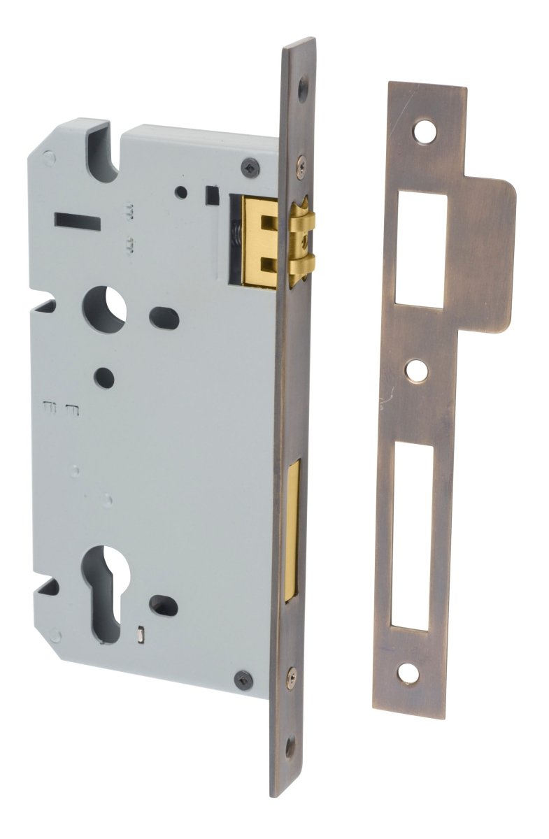 Euro Roller Mortice Locks - Entry Point - Iver - Signature Brass - External Locks