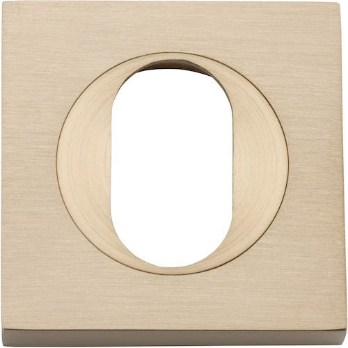 Oval Escutcheon - Square - Entry Point - Iver - Brushed Brass - Escutcheons