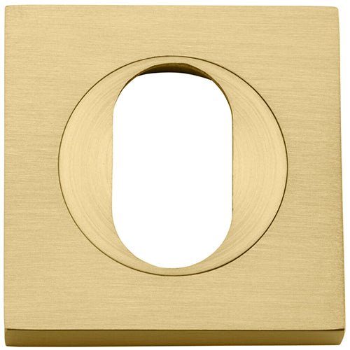 Oval Escutcheon - Square - Entry Point - Iver - Brushed Gold PVD - Escutcheons